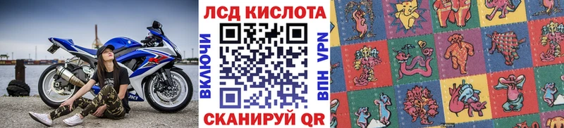 Купить где  Заволжье  Наркотические марки 1500мкг 