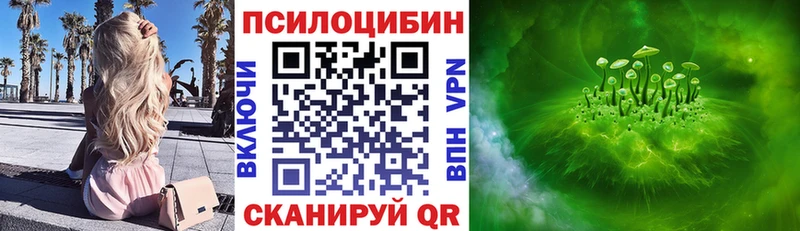 Галлюциногенные грибы мицелий  Купить  Заволжье 